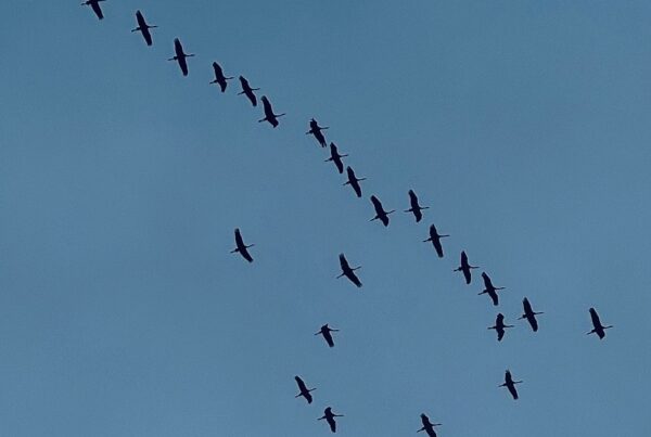 Changing relationship patterns can be hard